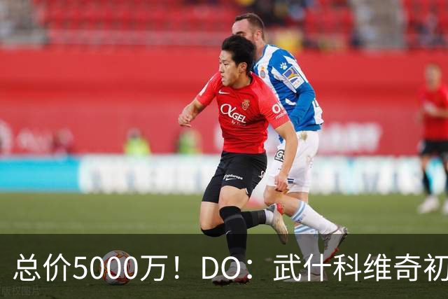 总价5000万！DO：武什科维奇初始转会费4600万镑，热刺有二转分成